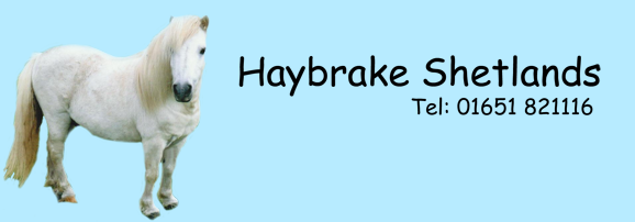 Haybrake Banner